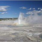 Geysir im Yellowstone