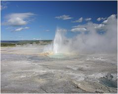 Geysir im Yellowstone