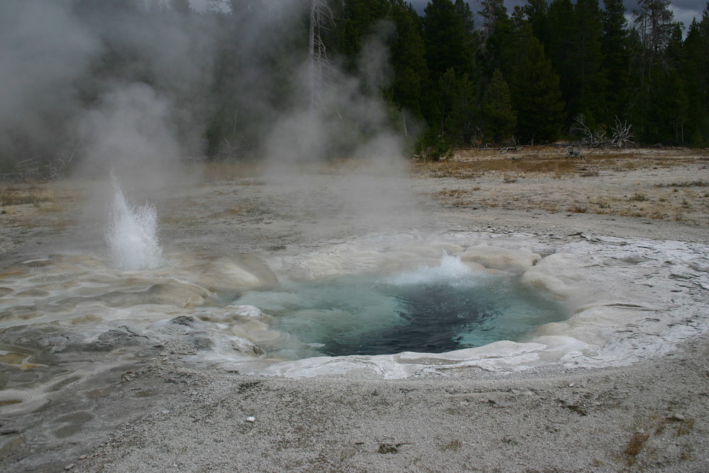 Geysir im Yellowstone