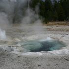 Geysir im Yellowstone