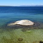 Geysir im Yellowstone Lake