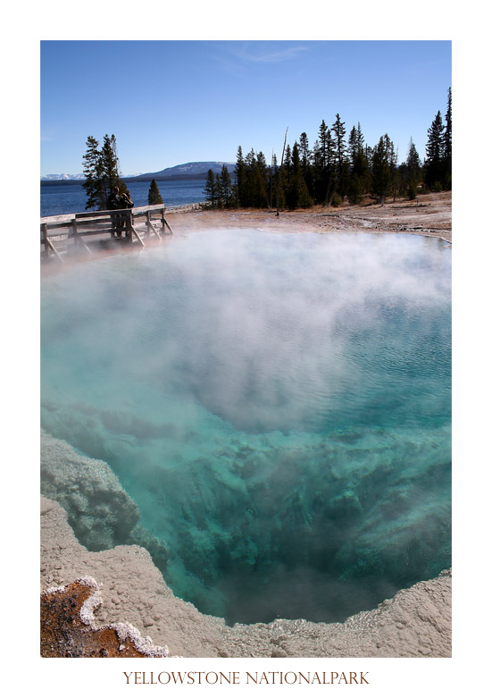 Geysir im Yellowstone Nationalpark, USA