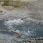 Geysir im Yellowstone NP