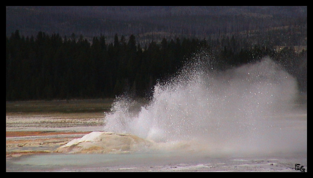 Geysir im Yellowstone Park