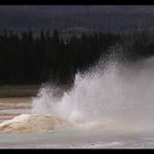 Geysir im Yellowstone Park