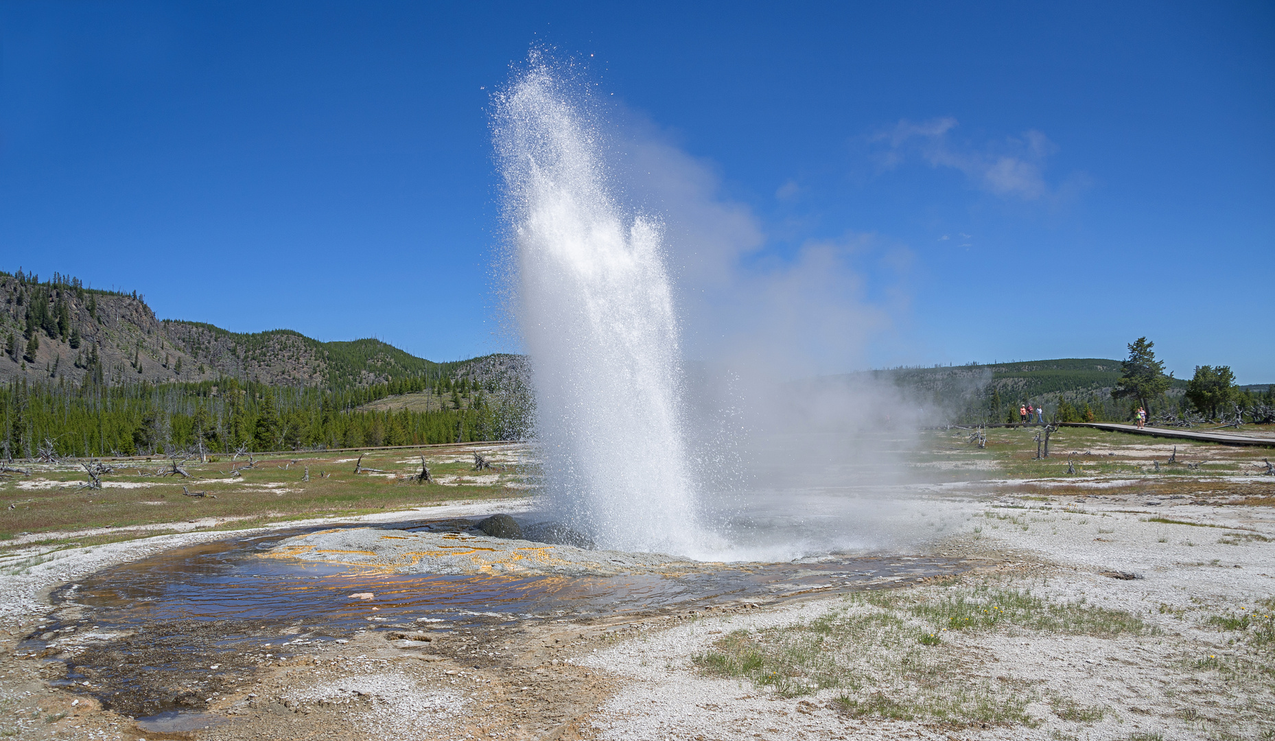 Geysir im Yellowstone Park