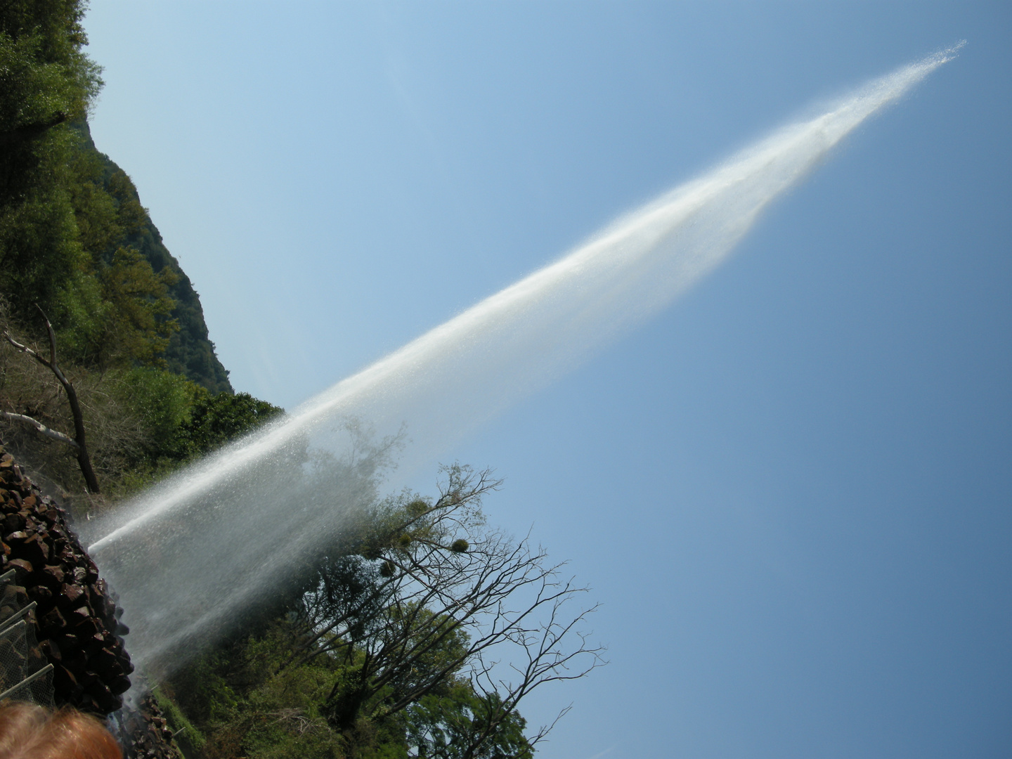 Geysir in Andernach