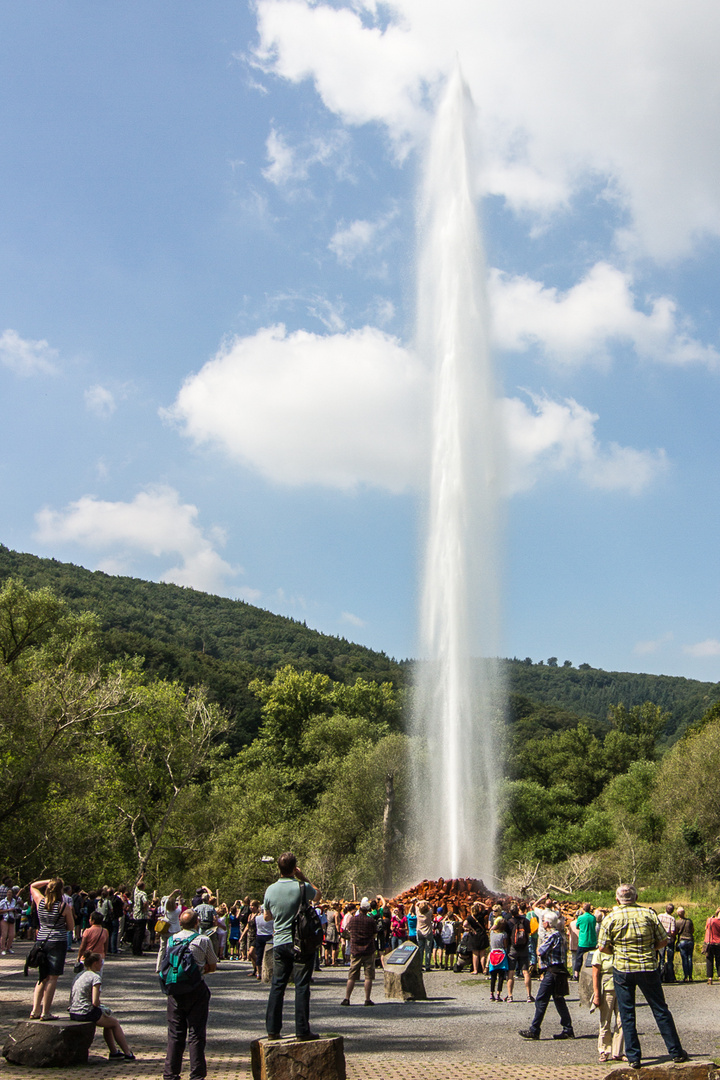 Geysir in Andernach