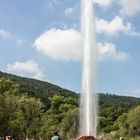 Geysir in Andernach