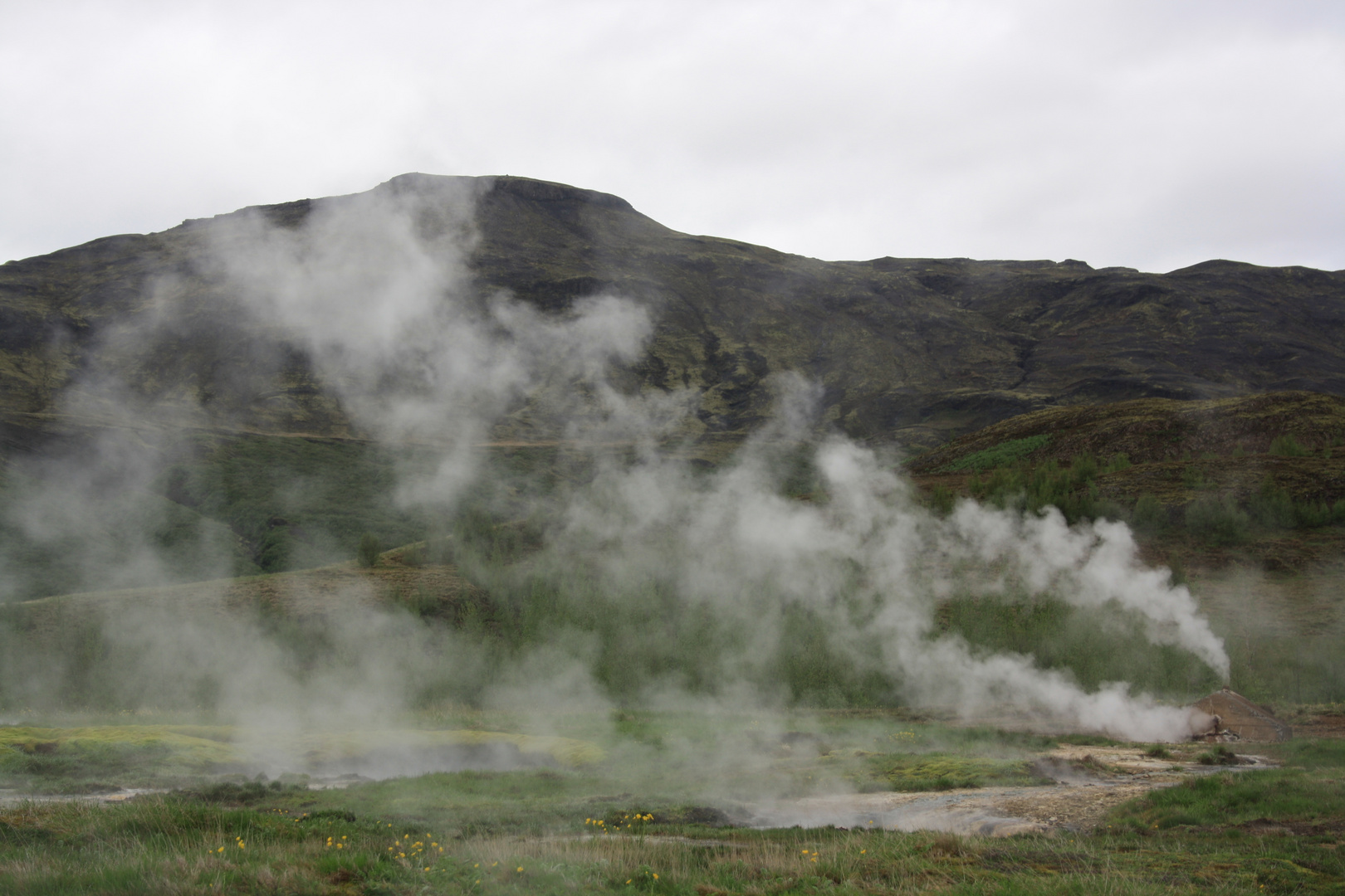 Geysir in Iceland