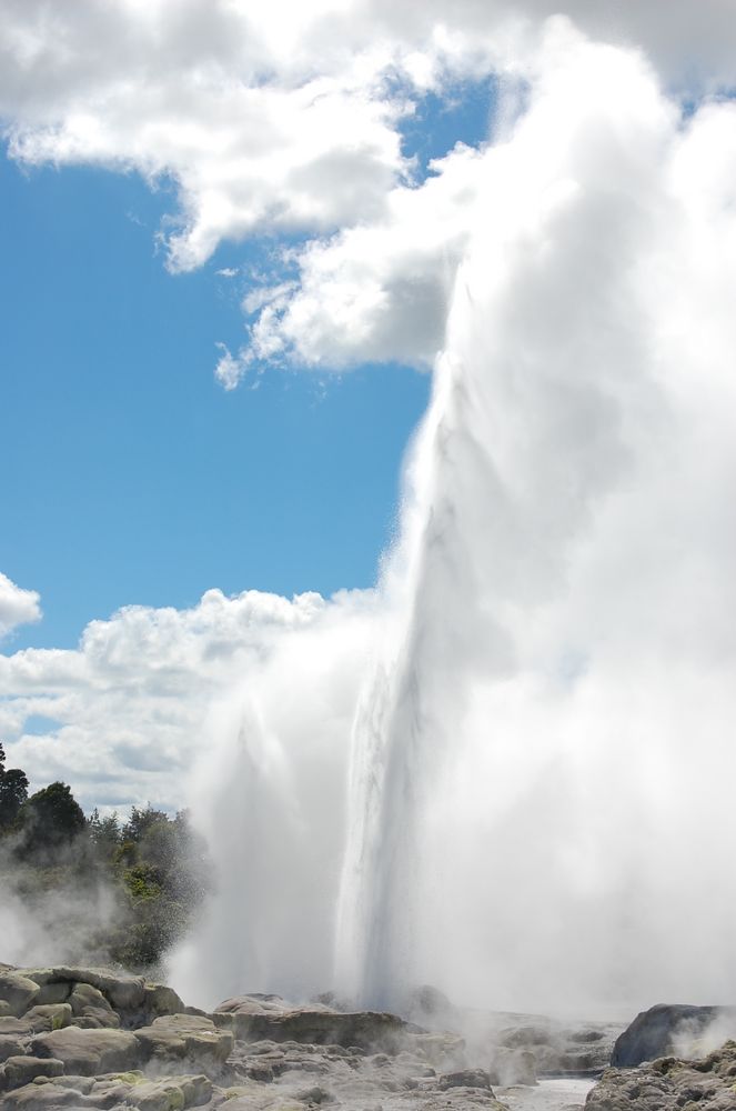 Geysir in Rotorua Neuseeland von Gudrun44 