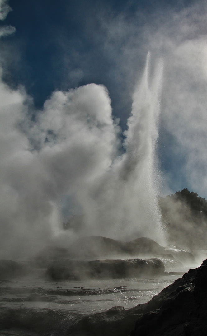 Geysir in Rotorua,Neuseeland