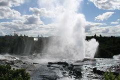 Geysir in Te Puia