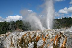 Geysir in Te Puia II