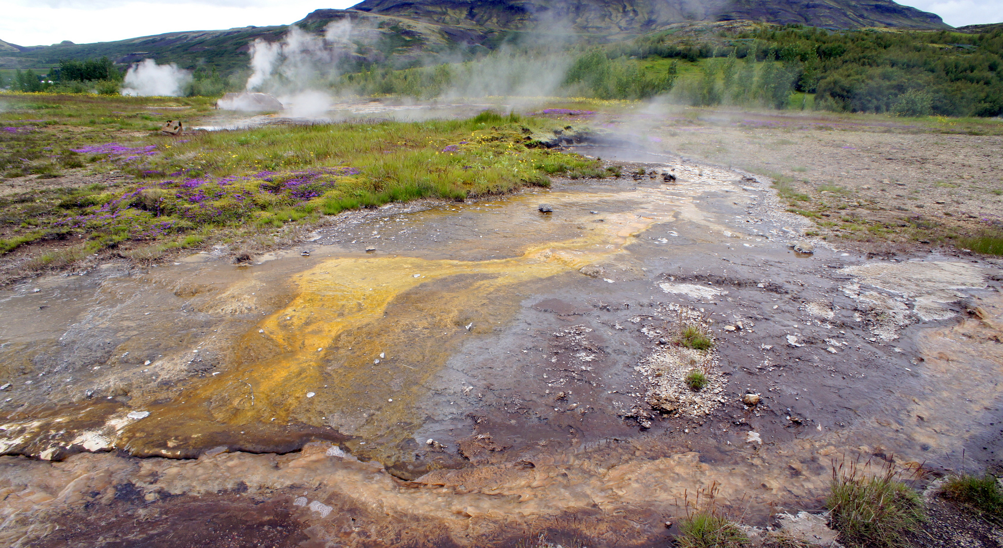 Geysir-Landschaft Island