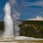 Geysir Old Faithful