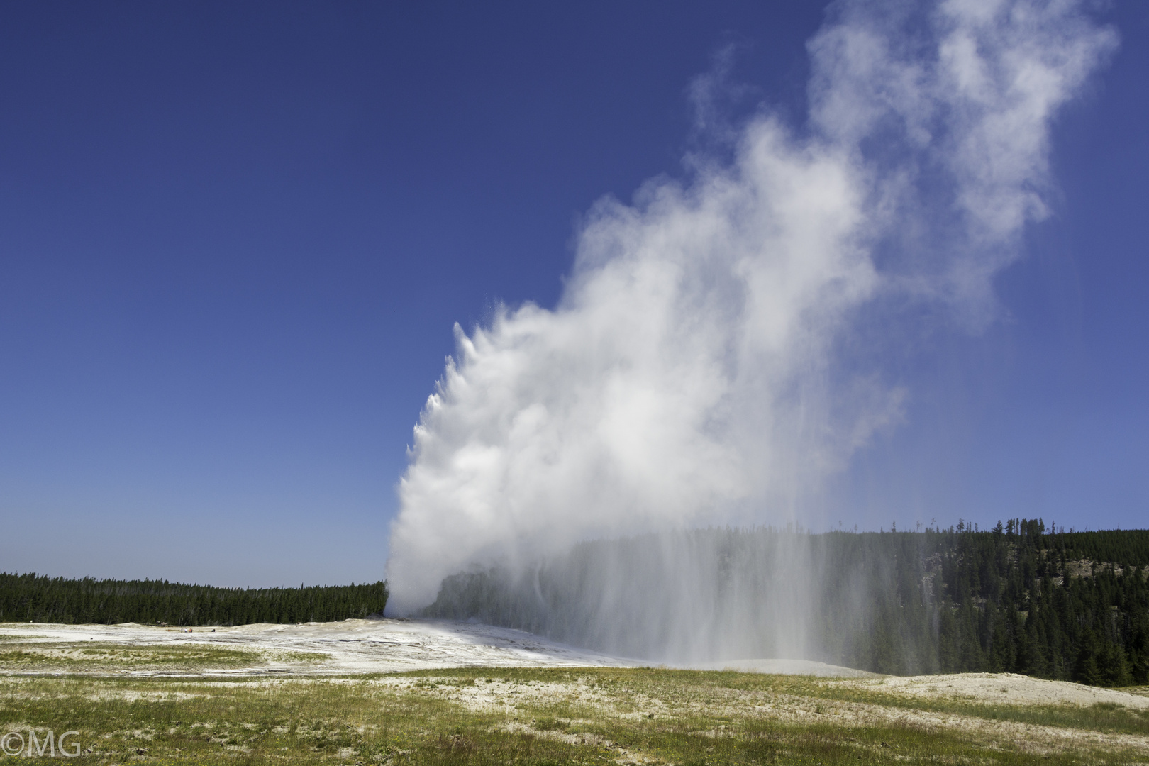 Geysir Old Faithull