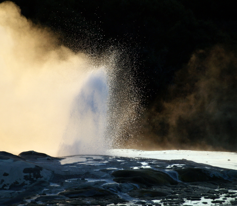 Geysir Prince of Wales' Feathers