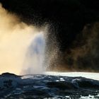 Geysir Prince of Wales' Feathers