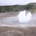 Geysir Strukkor 3