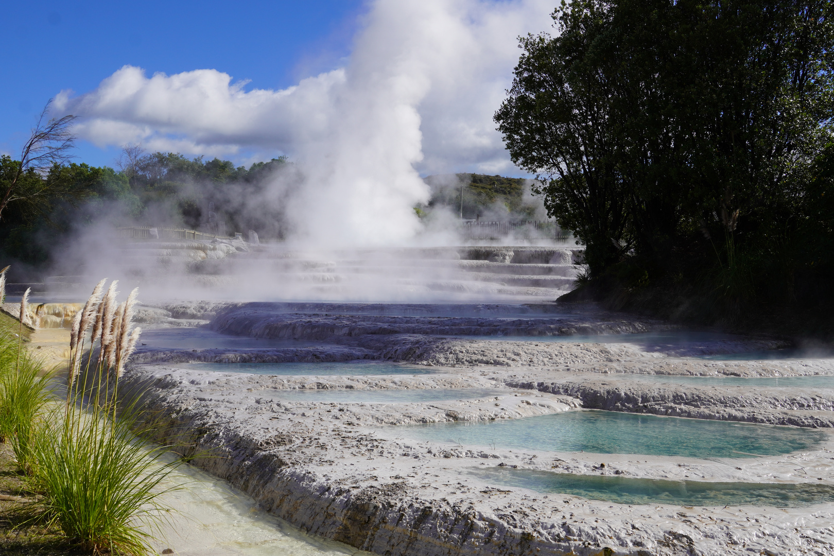 Geysir und Sinterterrassen