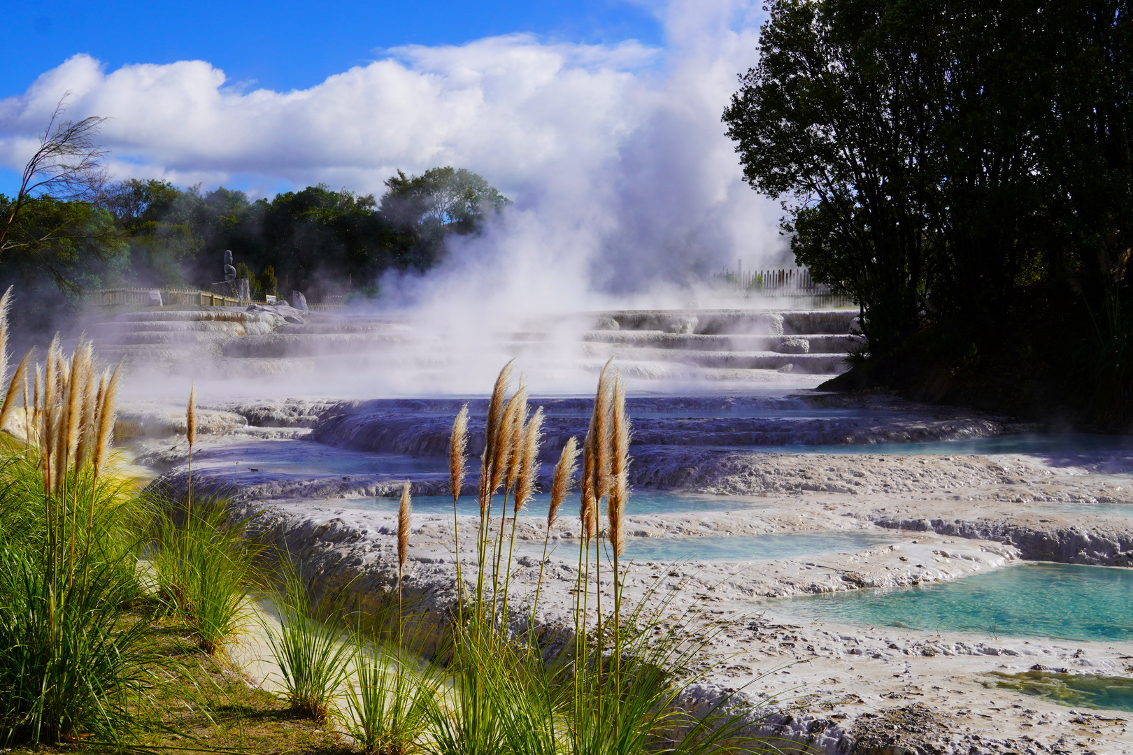 Geysir und Sinterterrassen