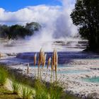 Geysir und Sinterterrassen