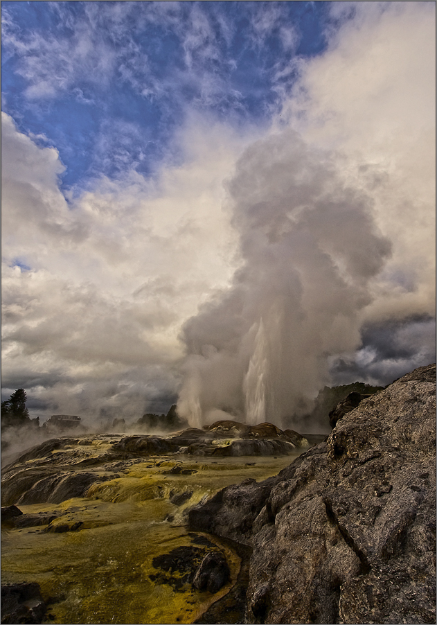 geysire in rotorua