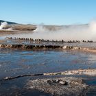 Geysirfeld El Tatio - Chile