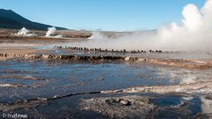 Geysirfeld El Tatio - Chile