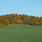 Gezeichnet: Maler Herbst