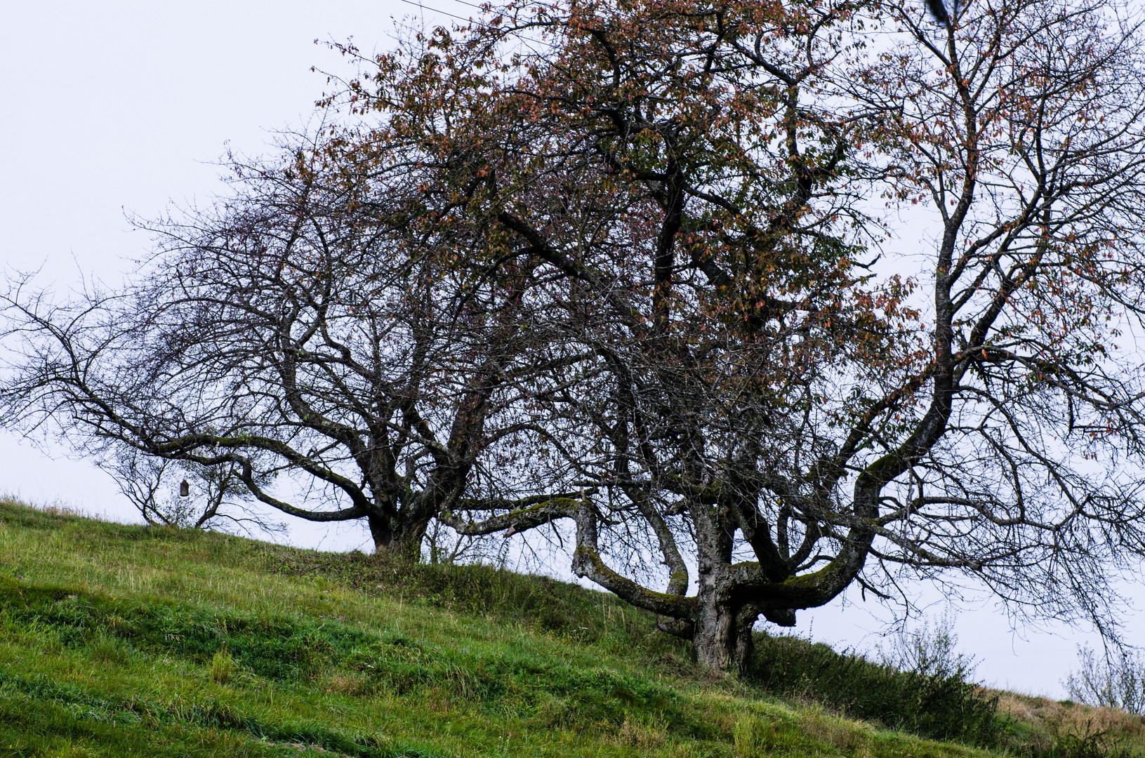 Gezeichnet von Wind und Wetter