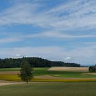 gezeichnete Natur