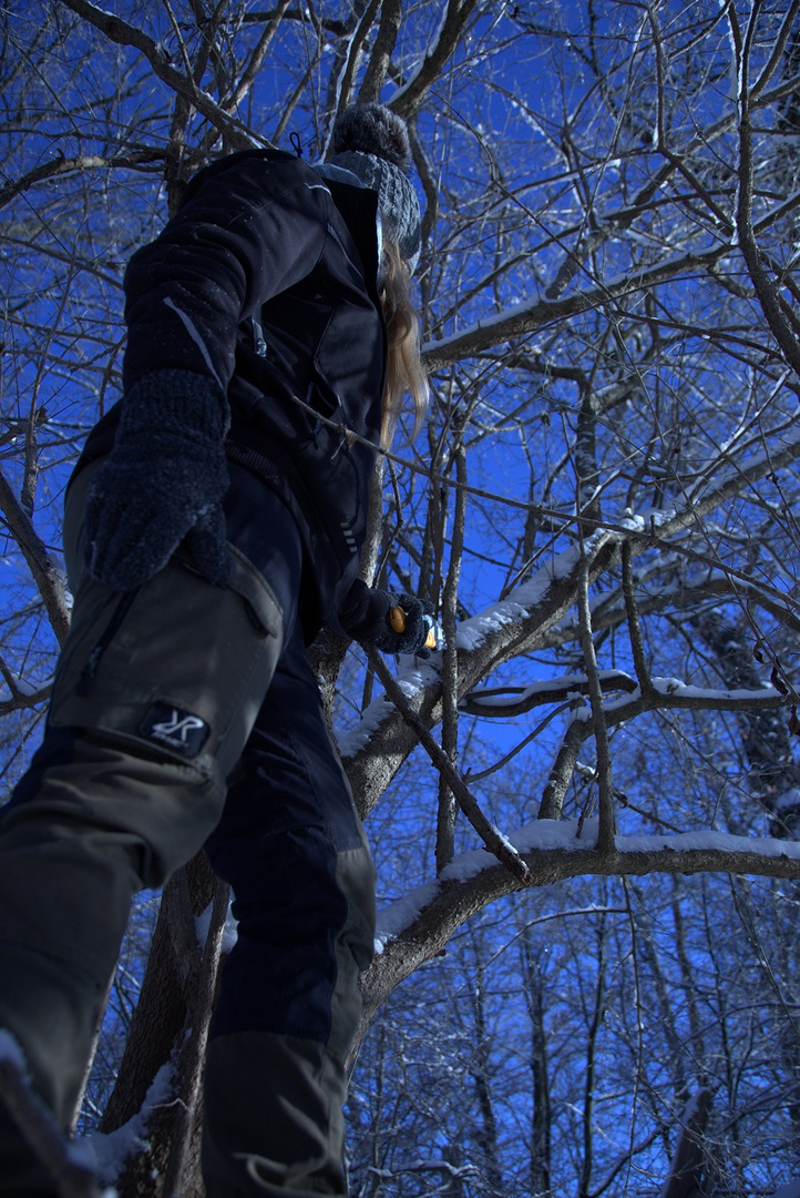 Gezeiten im Wald