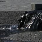 Gezeitenbrunnen in Wyk