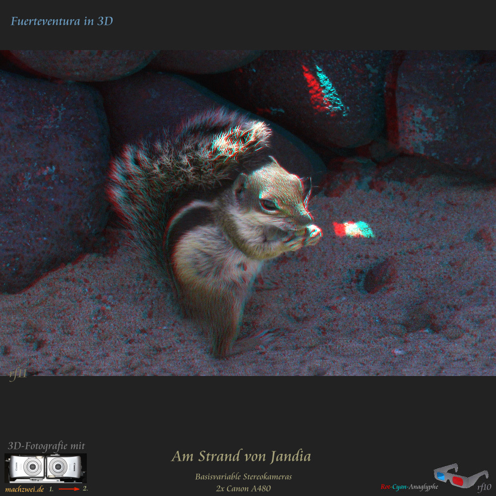 Gezoomte Stereofotos: Fuerteventura in 3D