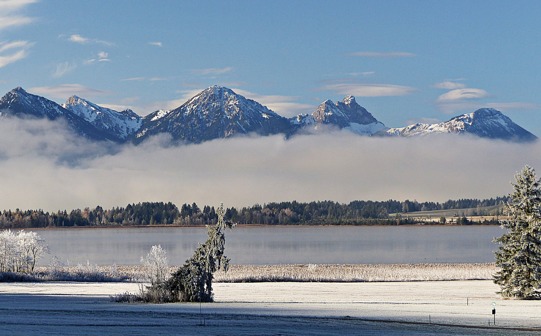 Gezuckerte Landschaft