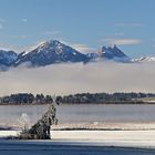 Gezuckerte Landschaft