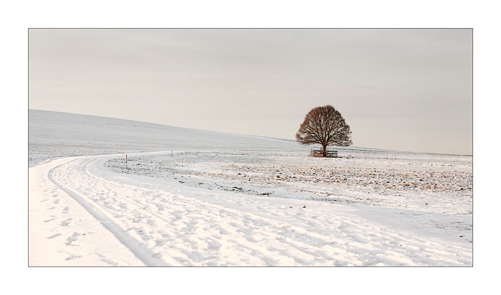 Gezuckerte Landschaft