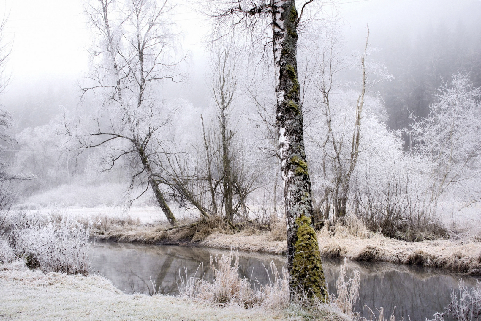 Gezuckerte Landschaft