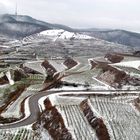 Gezuckerter Kaiserstuhl