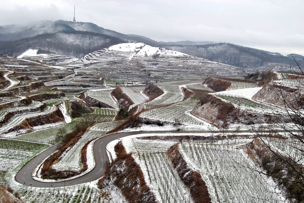 Gezuckerter Kaiserstuhl