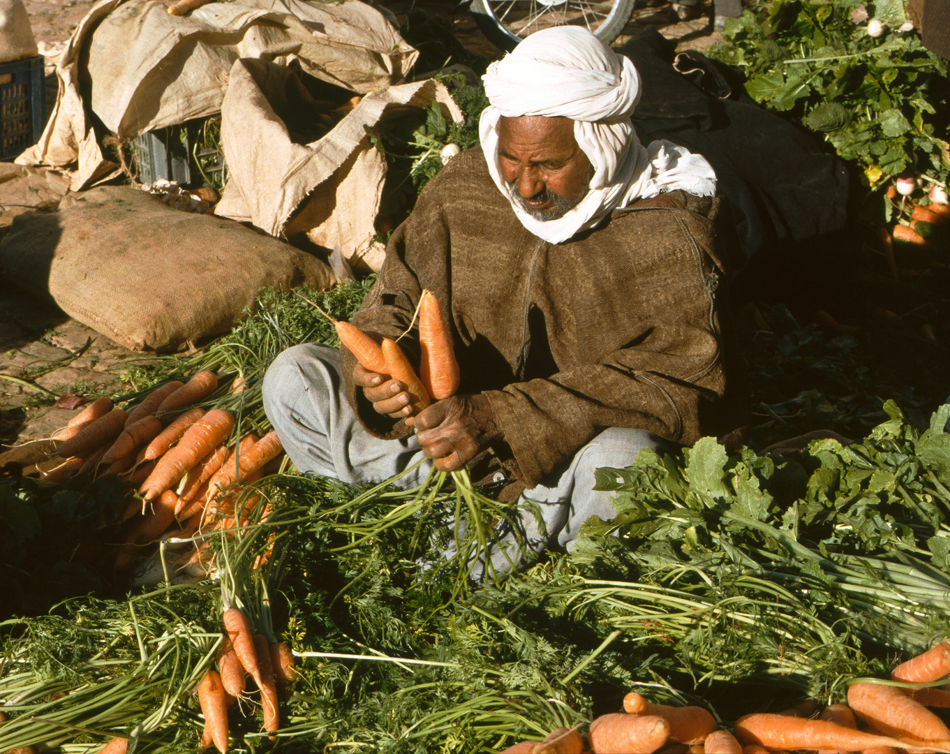 Ghardaia, Algerien (2)