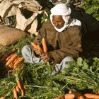 Ghardaia, Algerien (2)