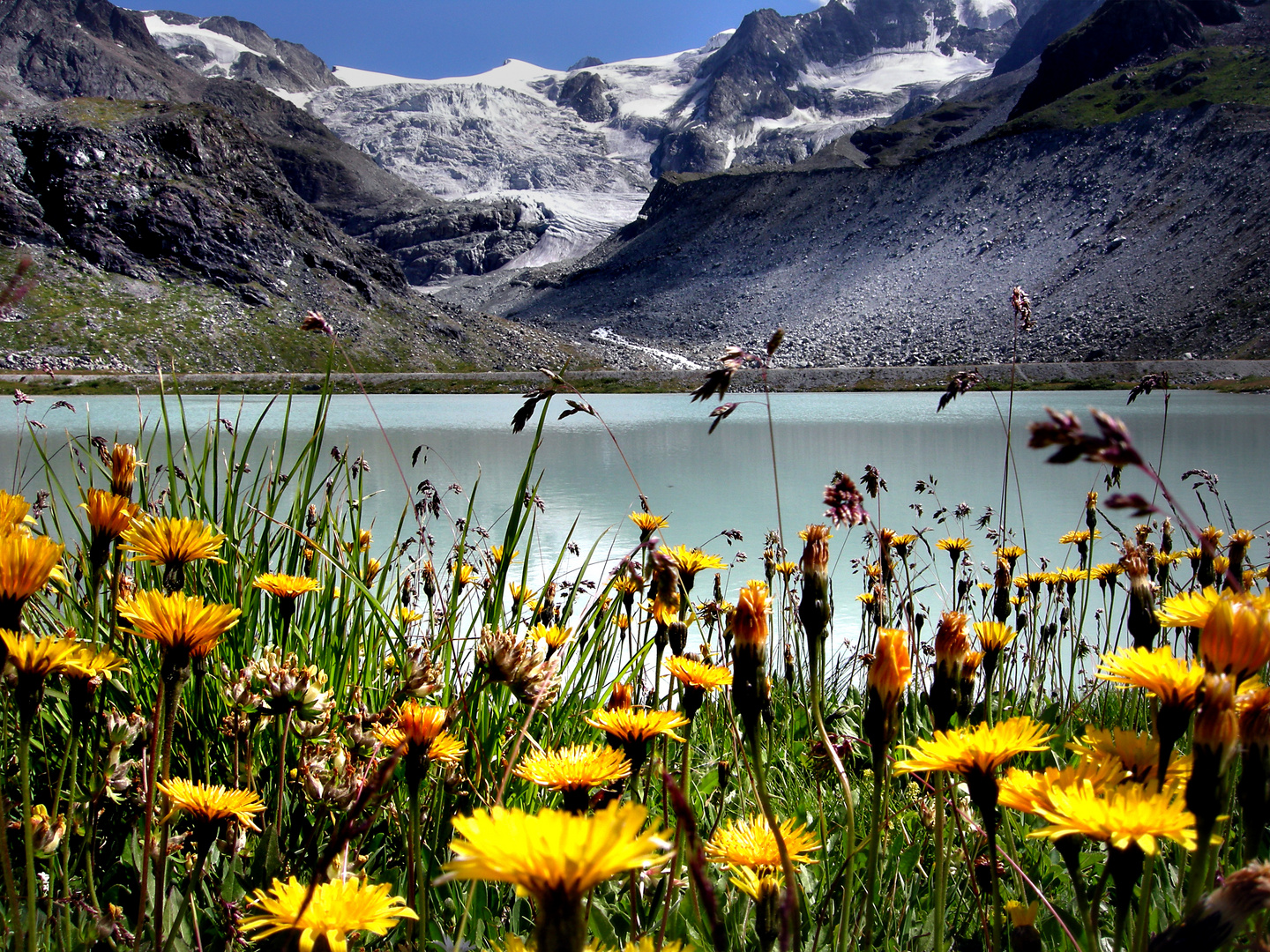 Ghiacciaio del Moiry - Ch