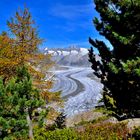 Ghiacciaio dell'Aletsch