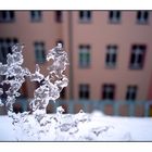 ghiaccio a Berlino