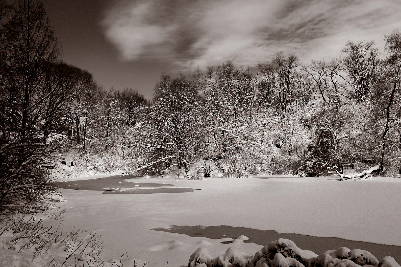 Ghiaccio a Central Park