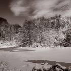 Ghiaccio a Central Park