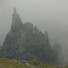 Ghost Cathtedral im Nebel In Scotland